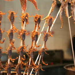 Na noćnoj tržnici u Kini